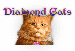 Amatic - Diamond Cats slot logo