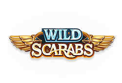 Microgaming Wild Scarabs logo