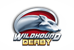 Play'n GO - Wildhound Derby slot logo