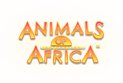 Microgaming - Animals of Africa slot logo
