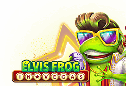 Play Elvis Frog In Vegas bitcoin slot for free